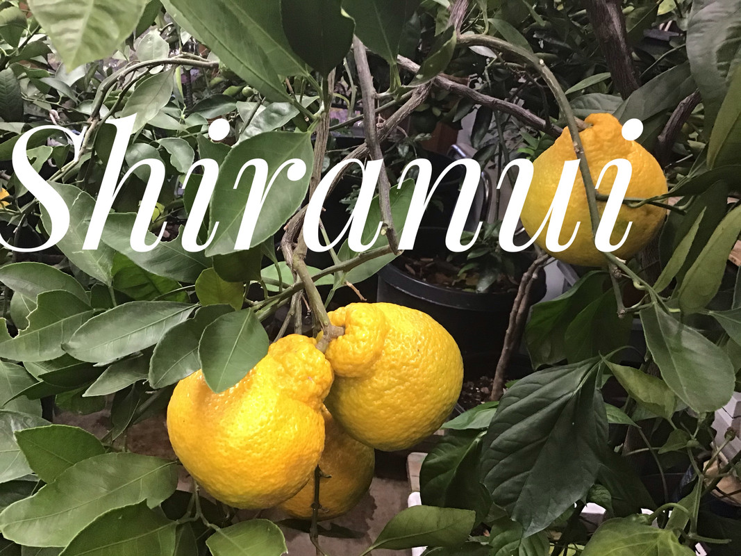 69B5295E-3060-487A-BDDC-B33413C58FC2