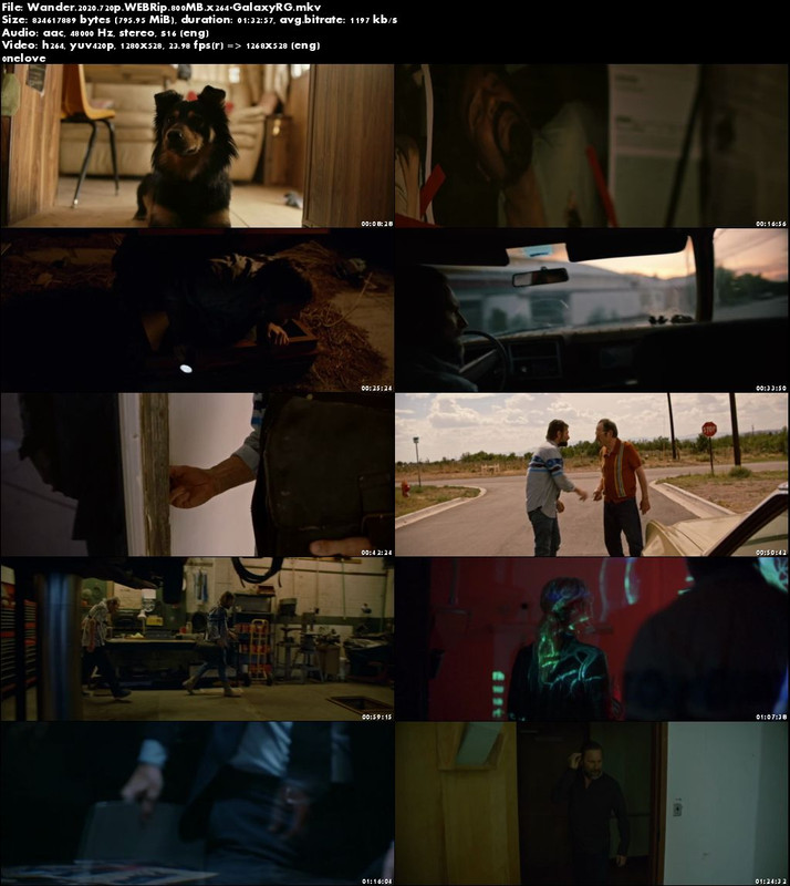 Wander-2020-720p-WEBRip-800-MB-x264-Galaxy-RG.jpg