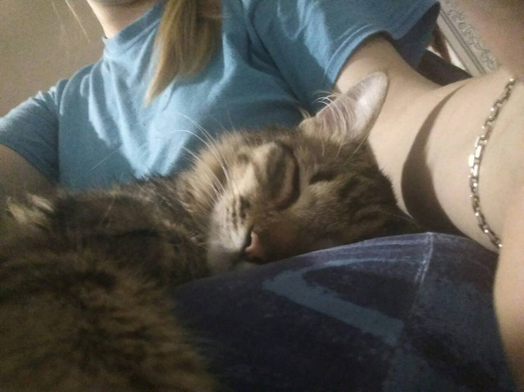 ДжойкаПамять3