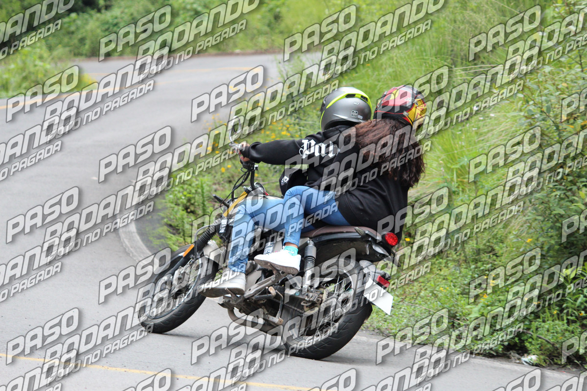 IMG 3340 wm 463459 4000000004 watermarked — Postimages