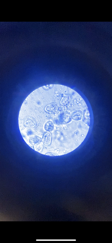 CDDA1702-288E-4CAA-8A0B-C0CCF7AF9720