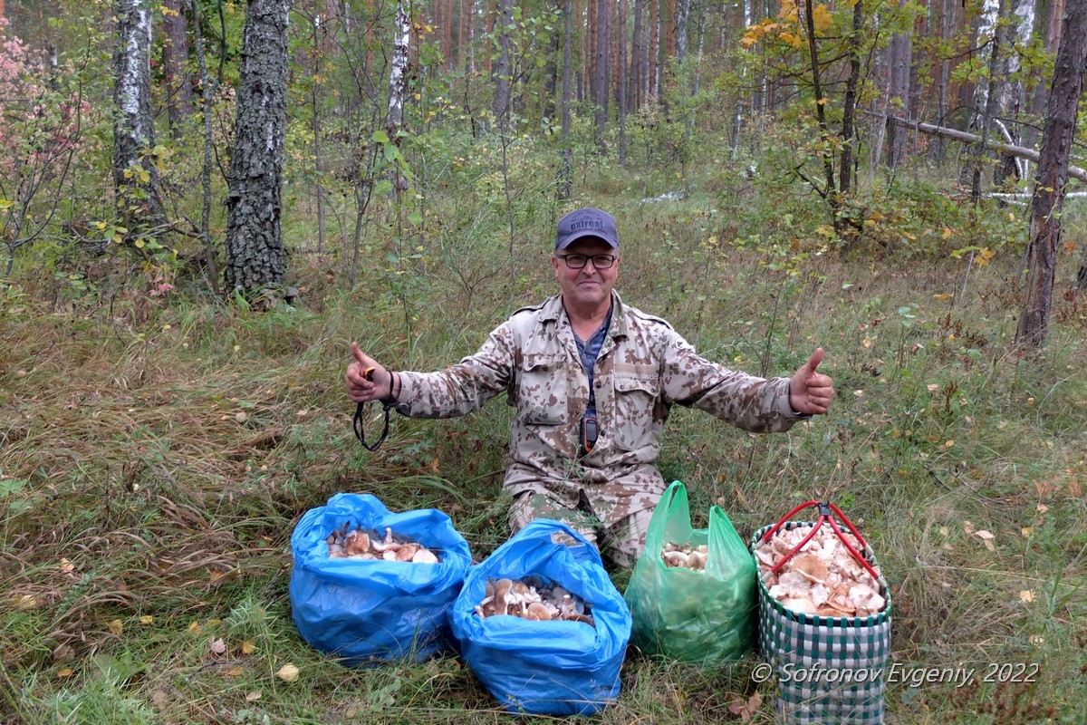 Какая сейчас рыбалка. Тихая охота.