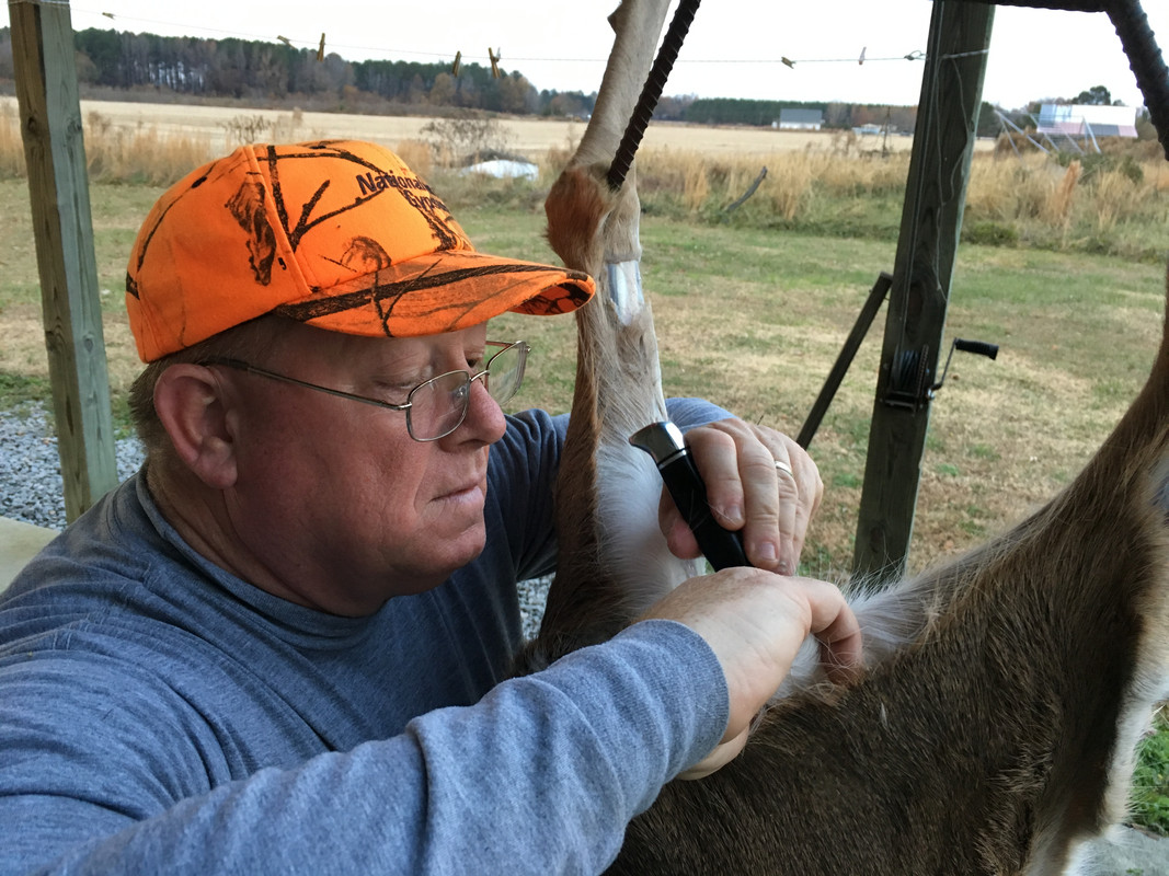 Mark-cleaning-doe-with-Buck-103-on-11-30-17-2.jpg