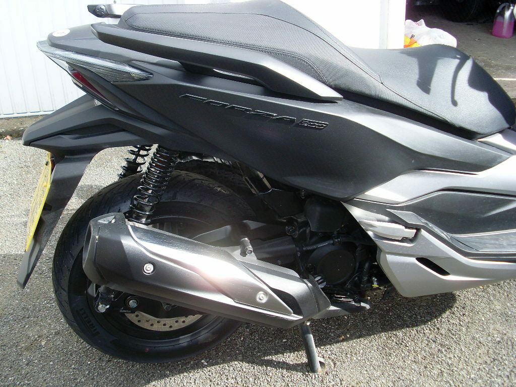 Forza 300 with Lowering Arm 2