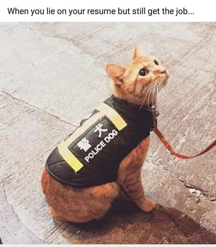 Resized-comment-1615393129-OPQLq4-Smw-GI