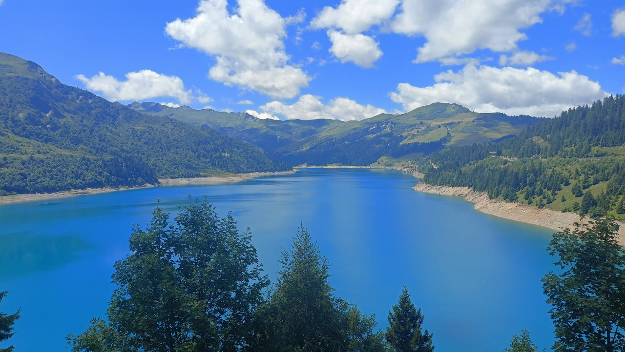 IMG20250717124430 (Large)