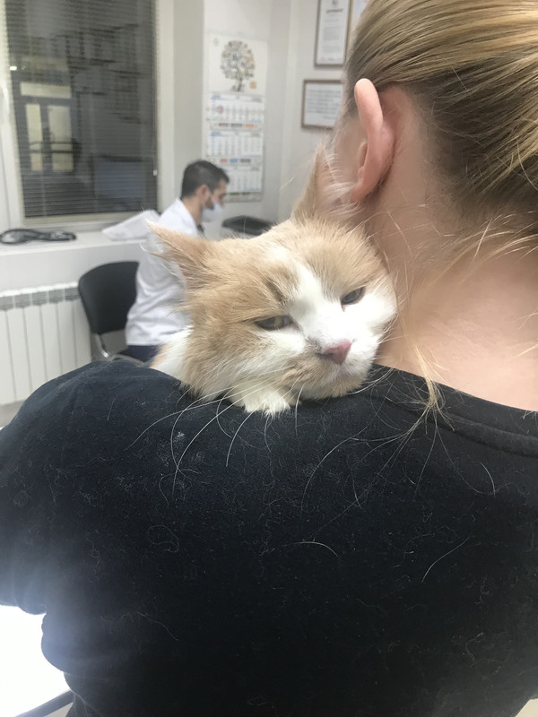 93E102B4-CA11-4D24-B94D-981651F697EE