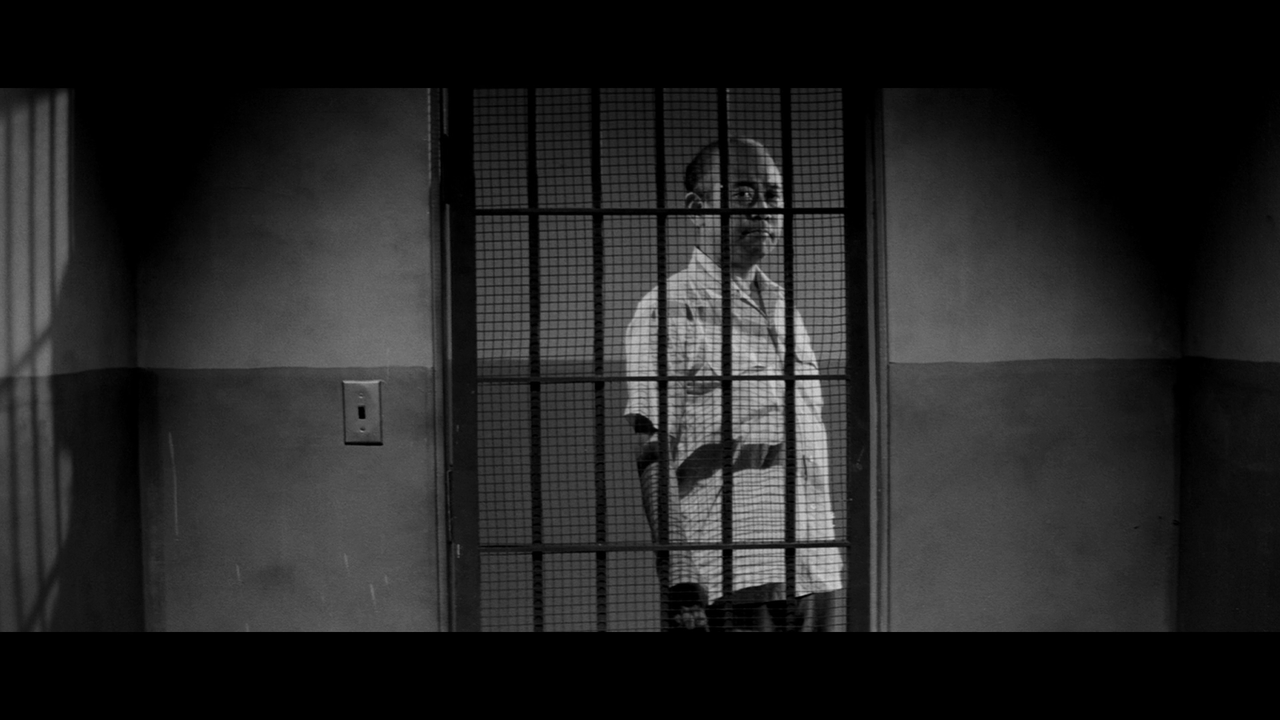 vlcsnap-2025-07-13-02h48m18s770