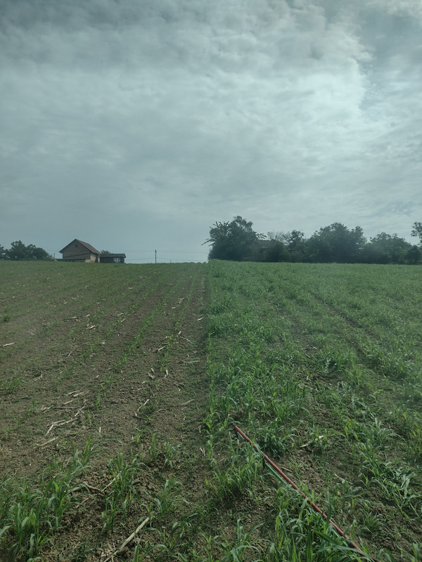 IMG-20220517-094130104-HDR.jpg