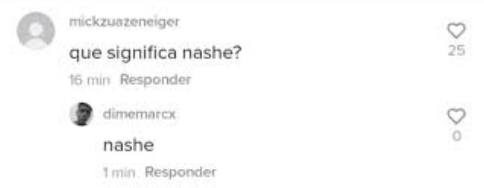 Significado de “nashe” en TikTok