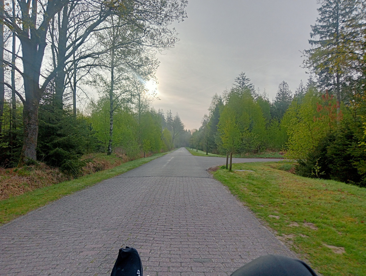 [Afbeelding: IMG20260427073309.jpg]