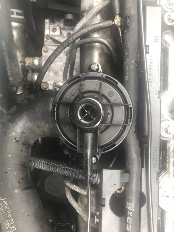 25F48319-B7BA-4B46-977B-C247213199BA