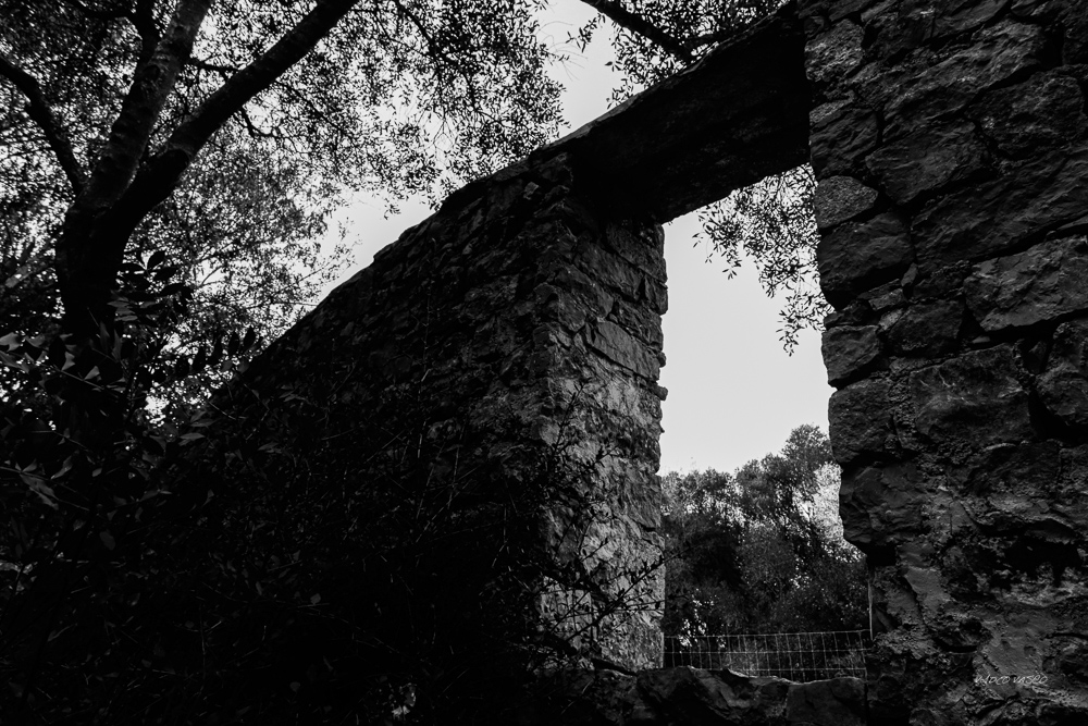 Hive-Vinhas-Ruins-Bn-W-01.jpg