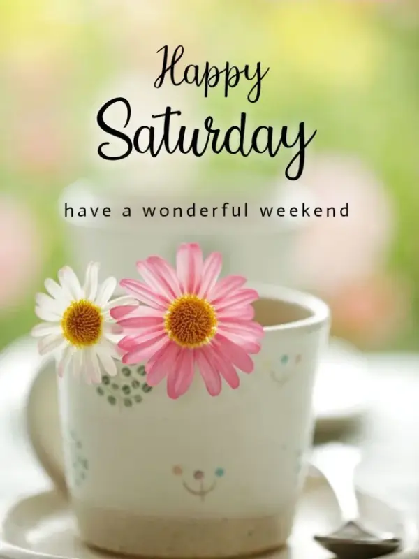 SATURDAY-samedi-4