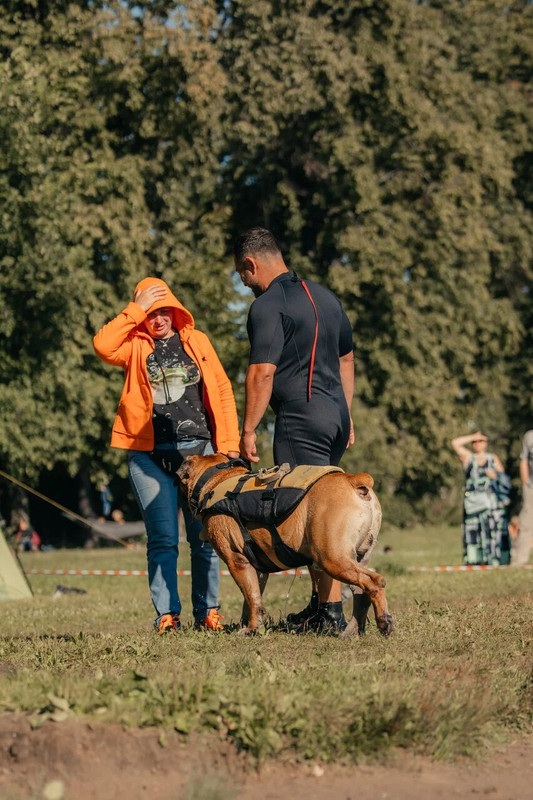 10-21-41-odDFK3ezjXZMZR03tvwIapoM4-bZEXr9K309qYVkMdOun70TqNUWsuSmfxOqiekTG6SpZaRaTikun3j4yxl3Pw==