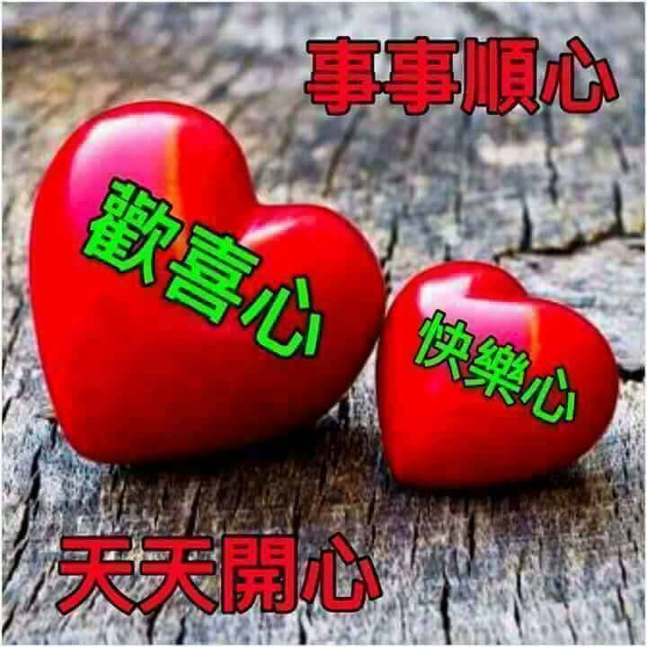 15741017_1290486384355303_3277082169621679475_n