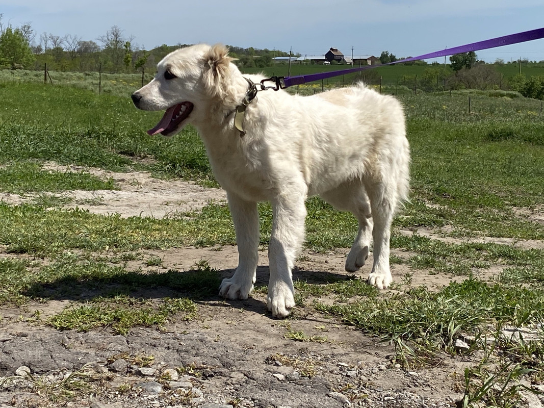 06B61B1E-B72E-4FF9-BE05-E206671B15AC