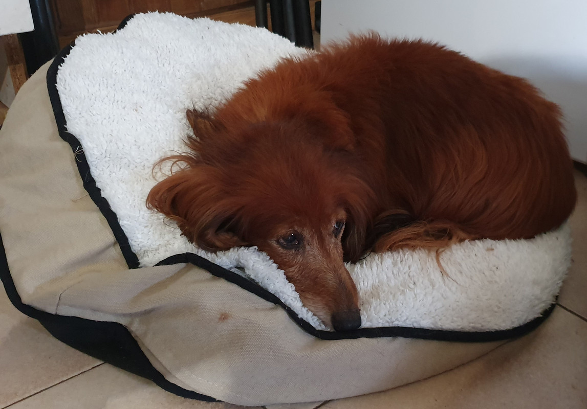 [Image: 20210116-204511.jpg]