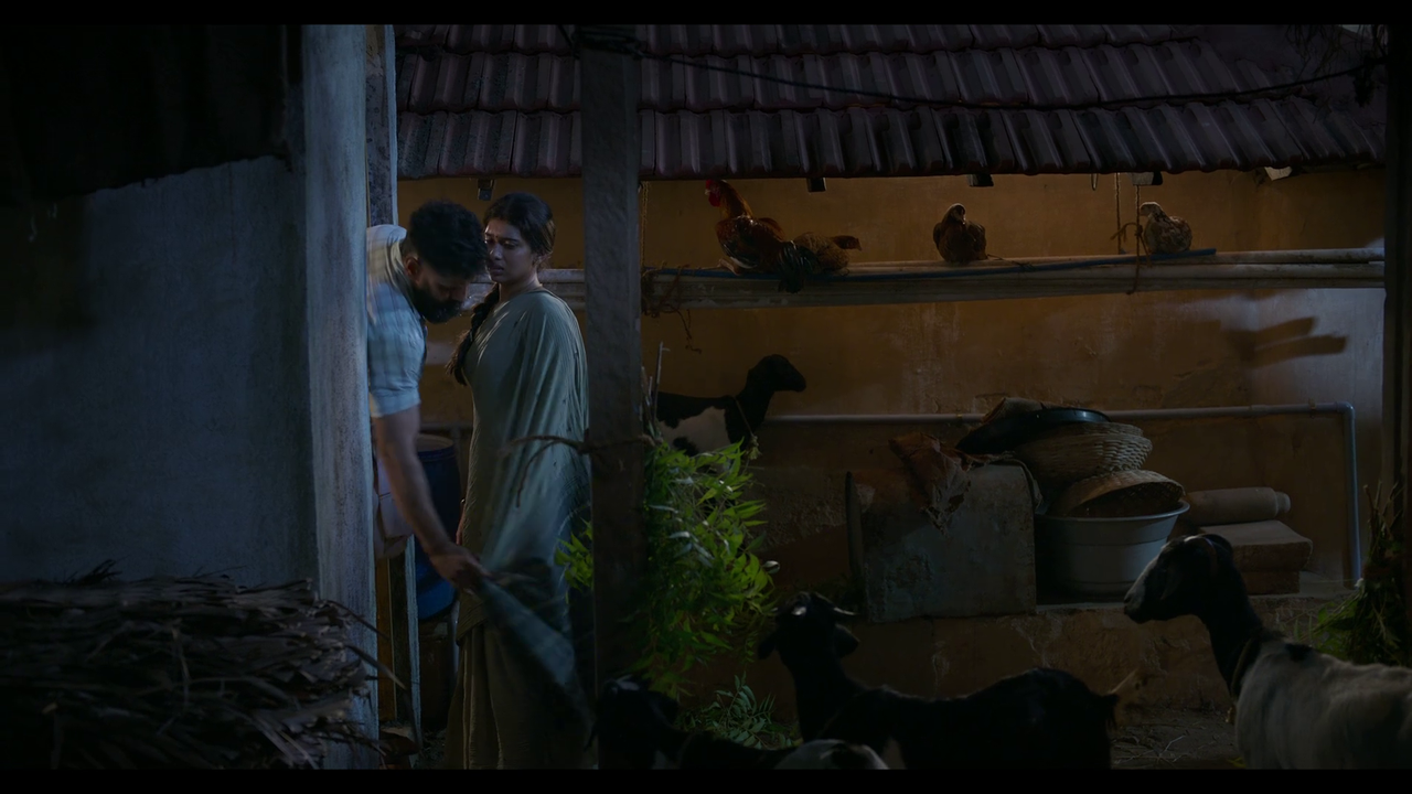 vlcsnap-2025-04-24-21h06m19s475