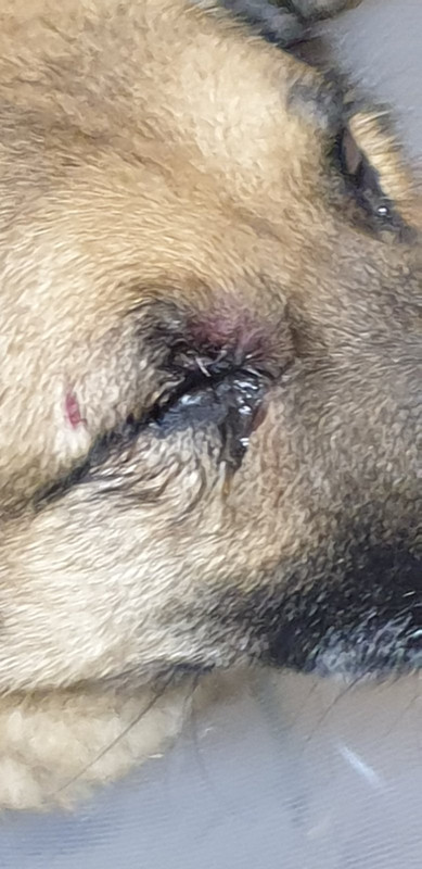 изображение_viber_2021-03-31_15-00-18