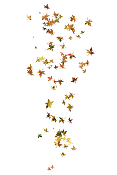 TADD_elements_ShimmerFall (33)