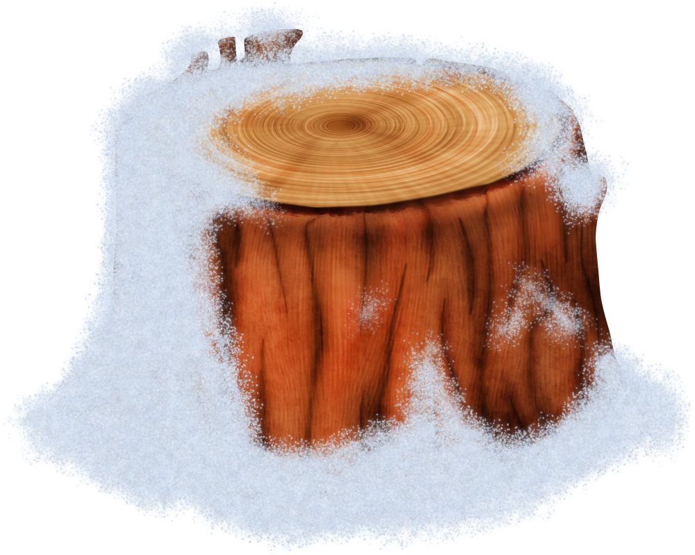 Christmas in Forest8