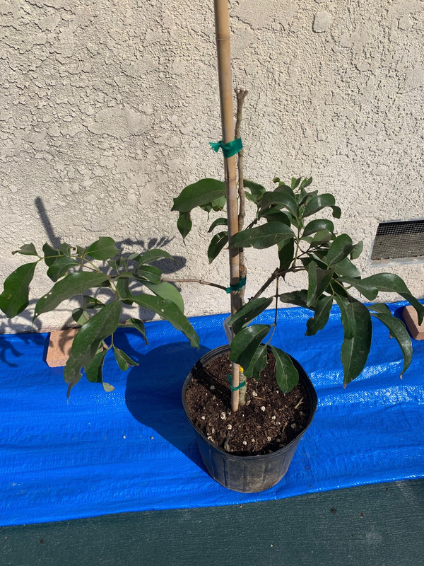 2019-3-5(2)