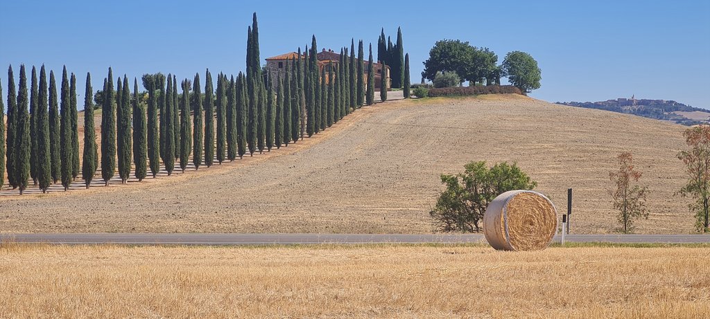 La Toscana 2022: entre termas y cipreses - Blogs de Italia - Los cipreses creen en Dios...y más en Val D'Orcia (7)