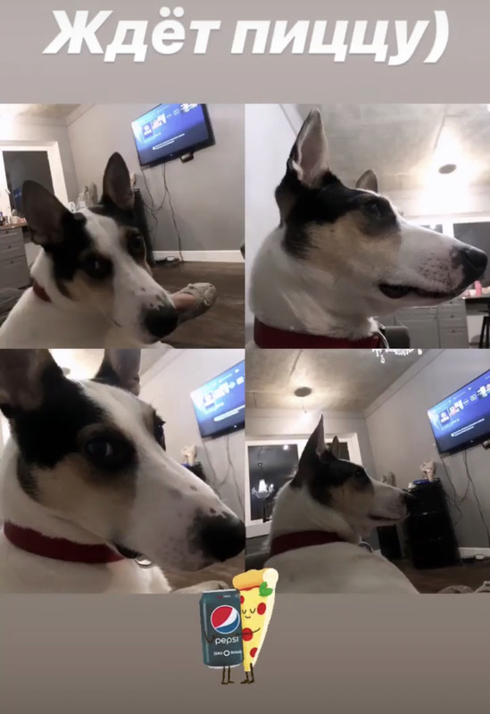 A7D621E4-6067-4562-905B-4D9E6CD8F0E3