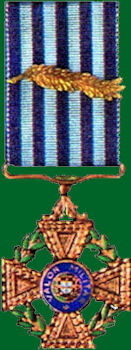 Medalha-de-Cobre-de-Valor-Militar-vd-350jpg