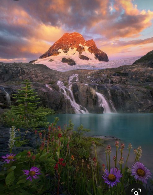 Screenshot_20231104_213905_Pinterest