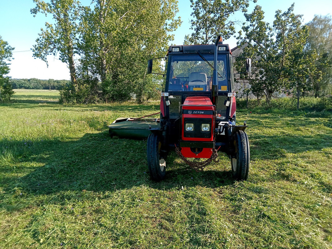 IMG_20240811_172316_MP