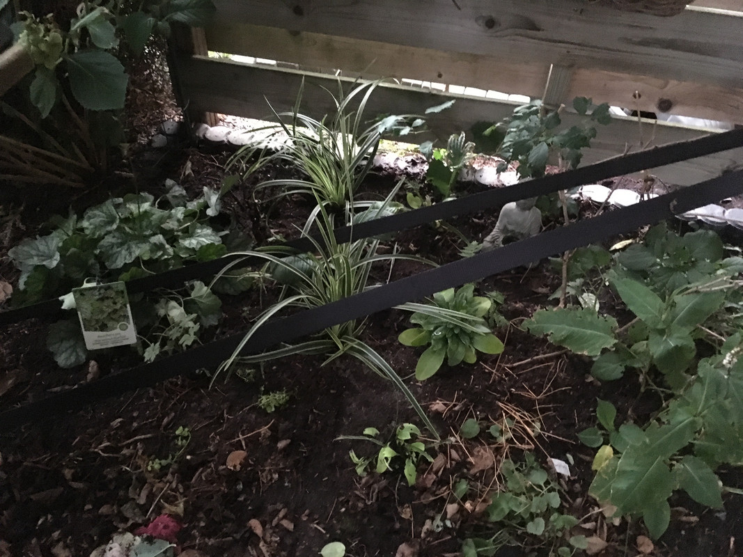 EEEE4AAE-88A8-477B-B1B9-6722F193AA56