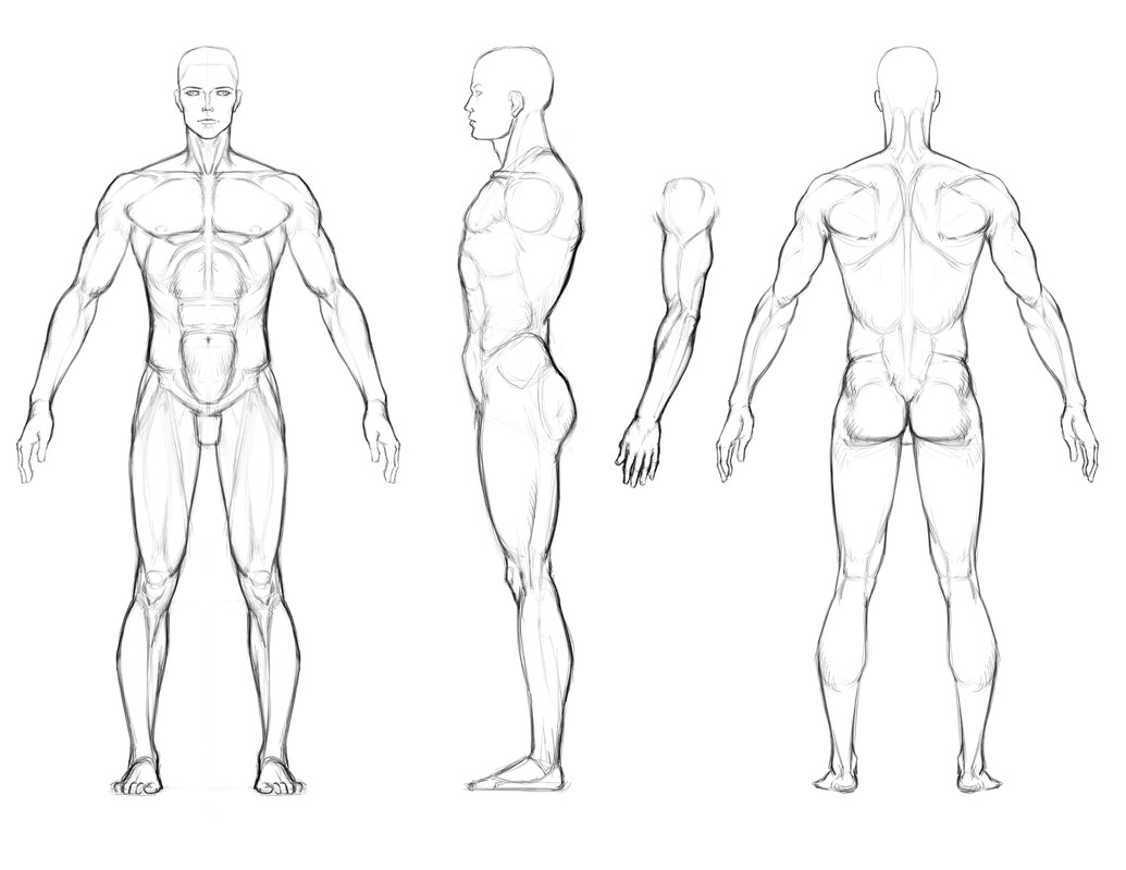 human-body-drawing-outline-22.png