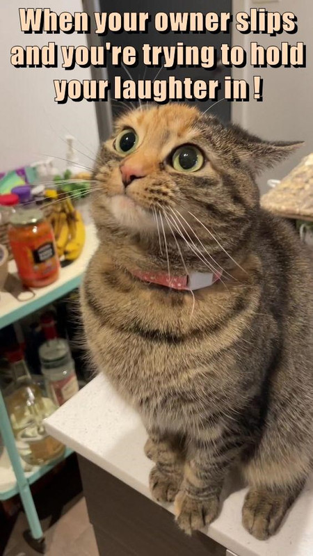 pfffft