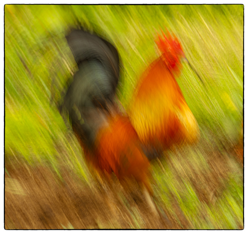 Fotografie