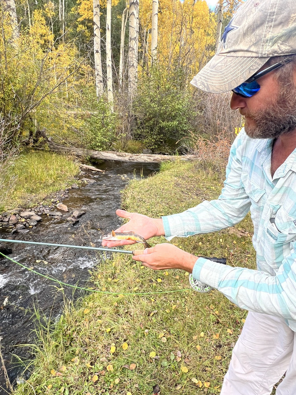 1B1178D8-2F4E-4B2E-B2D3-FDF6020C371D