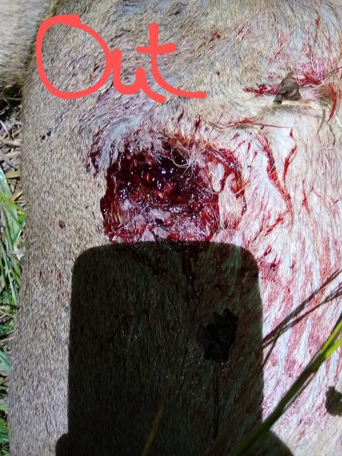 IMG_20201017_200433337-1~2