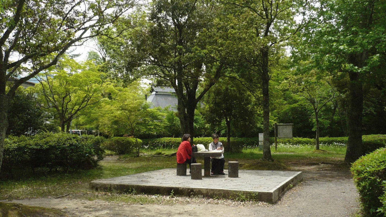 photo 28 2025 12 14 20 03 45