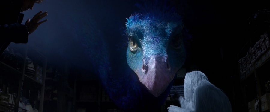 Fantastic Beasts and Where to Find Them 2016 BluRay [Hindi + Tamil + Telugu + English] 480p, 720p, 1080p ESub Screenshot