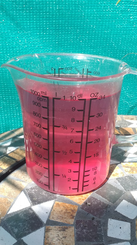 356239423_10226924887485588_8139710058128364081_n