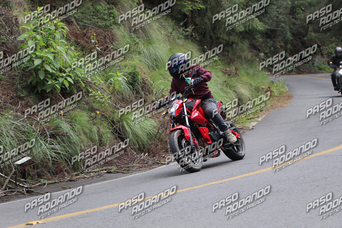 IMG 1342 wm 1531870 3 watermarked — Postimages