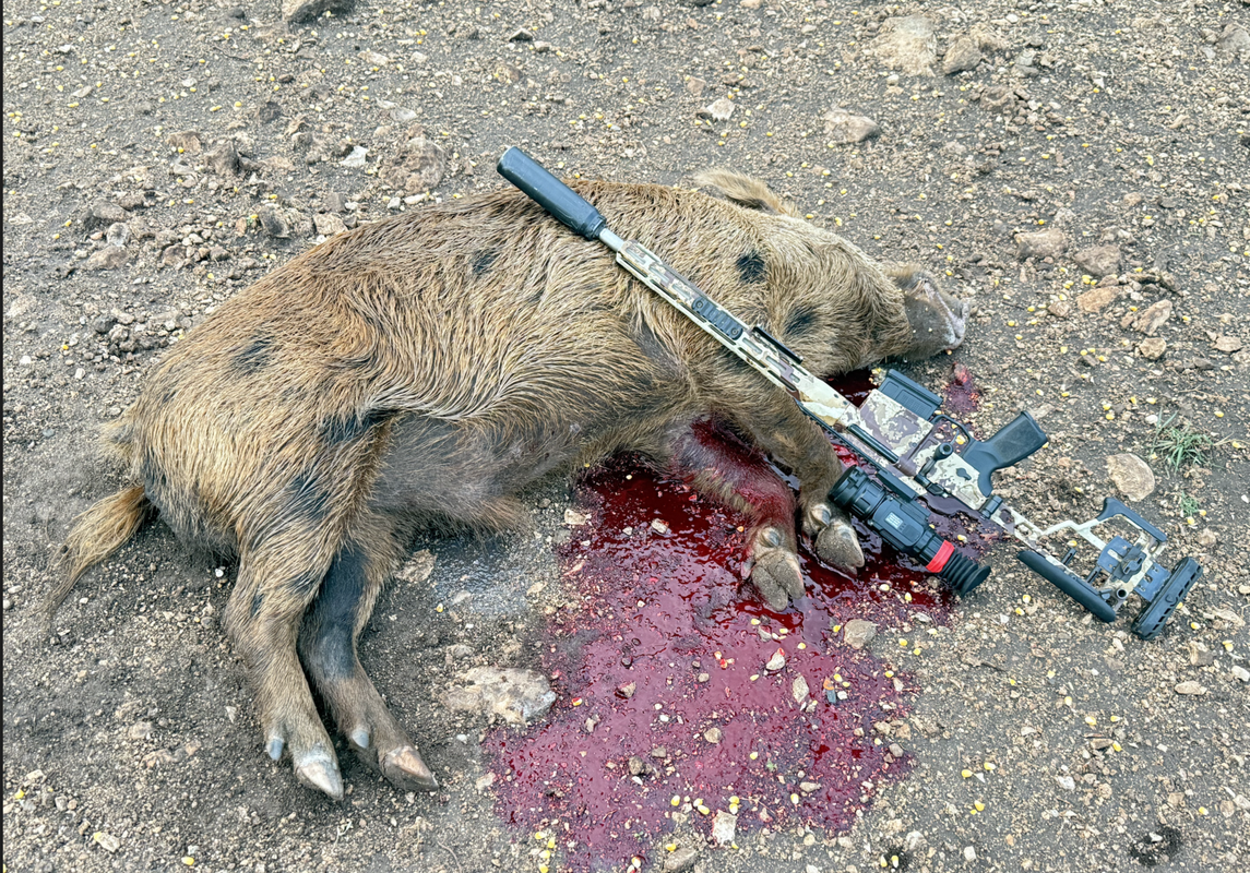 Screen Shot 2025-08-05 at 11.26.29 AM