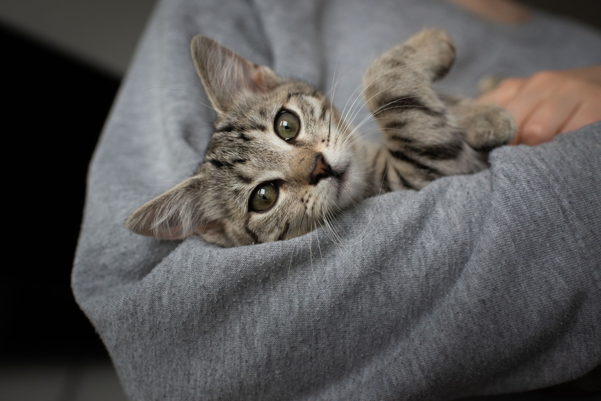 18923225-21D8-4876-B7AF-6128A40BBD29