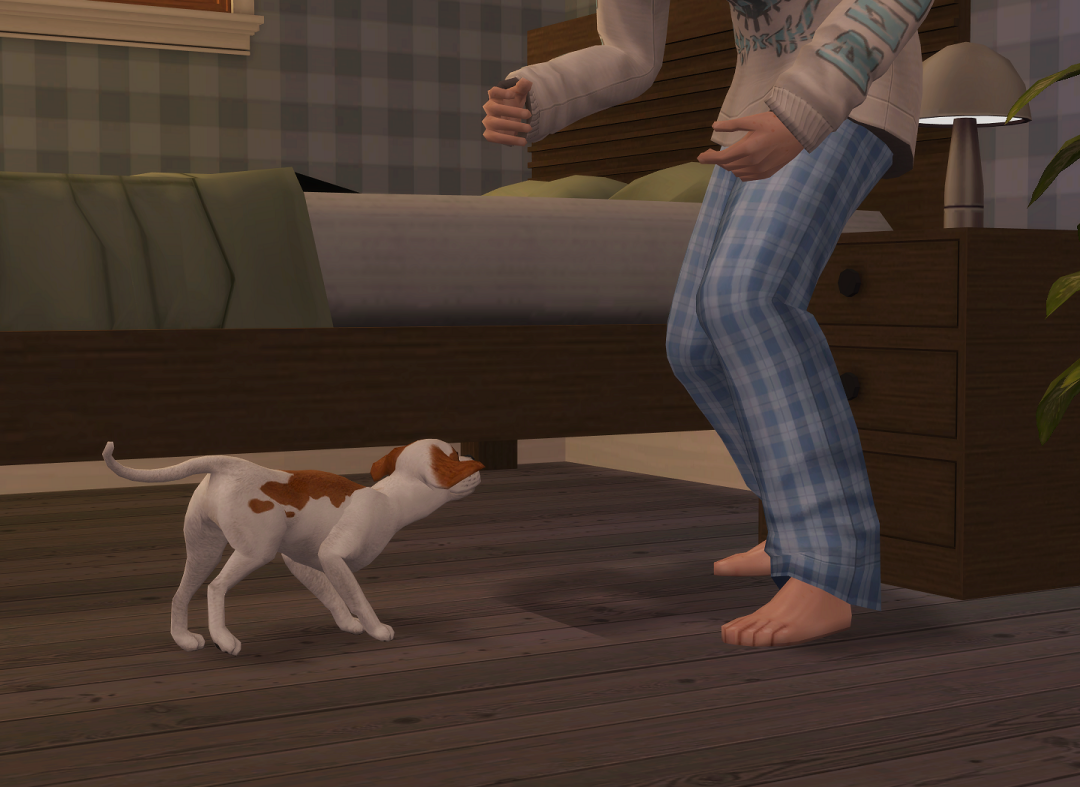 ksnip-20250223-155510