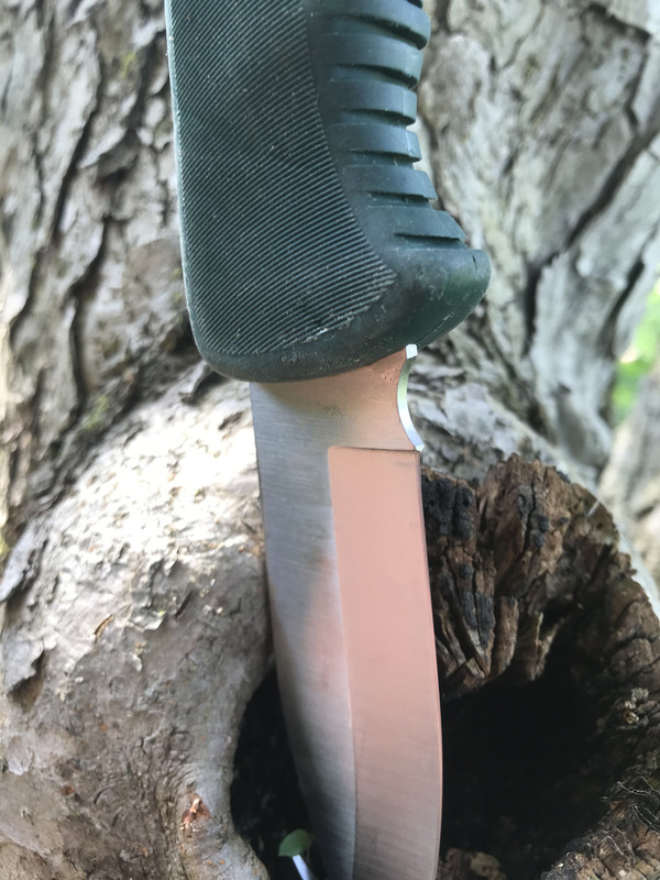 8CA40BBA-5AFD-4E48-B622-837C18C41C22