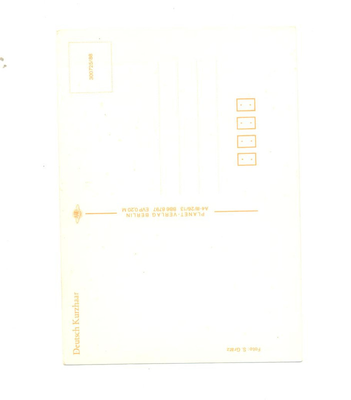 Scanjet 045