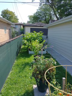 IMG-20210828-105136575.jpg