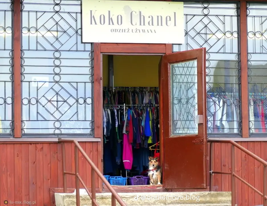 8c3dd588157c1a6bd16340a8d58fae64