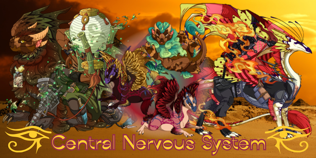 Central-Nervous-System.png